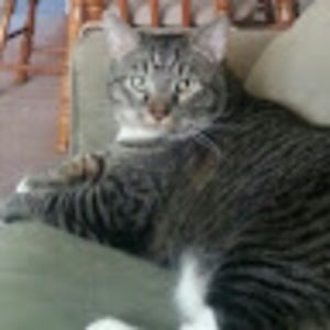 Meet your Posher, Maryann